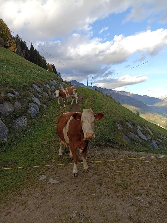 Apartamento Ortnerhof Ahrntal Exterior foto